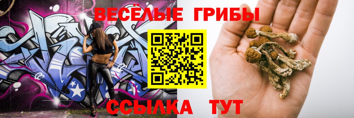 Псилоцибиновые грибы Magic Shrooms Слободской